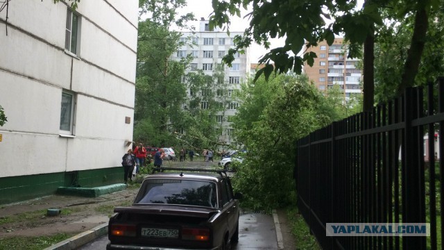В Москве ураган!