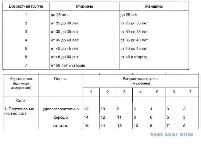 Норматив подтягивания на турнике по возрасту: найдено 79 картинок