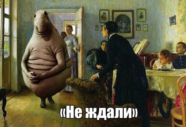 Подборка интересных и веселых картинок