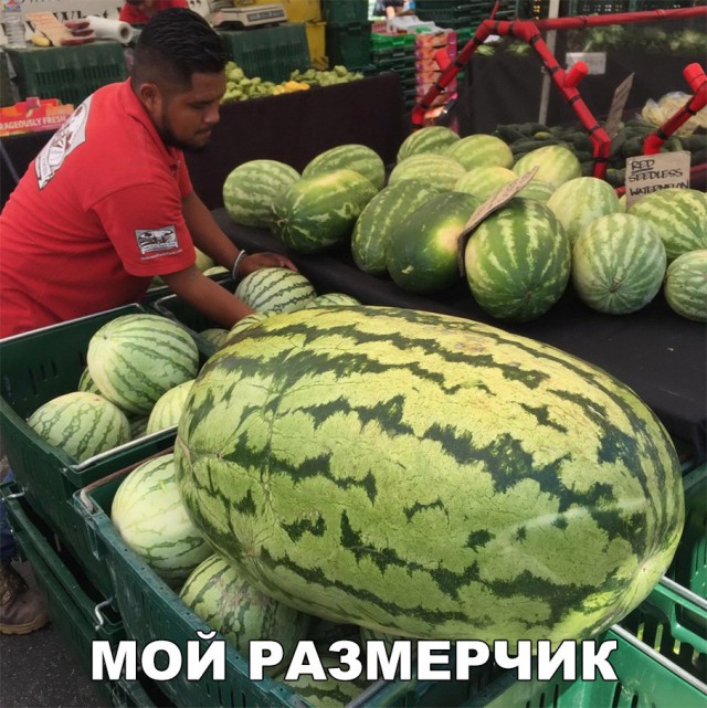 150 картинок для поднятия настроения!