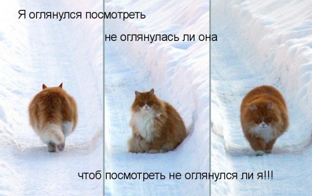Лоза ответил Макаревичу