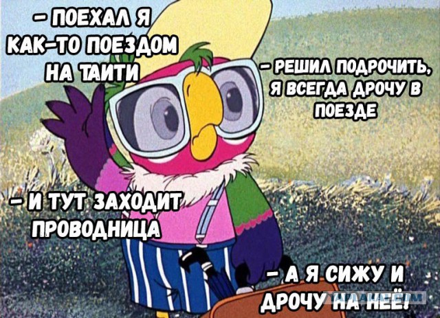 «Союзмультфильм» следом за новым «Простоквашино» снимет мультфильм о попугае Кеше