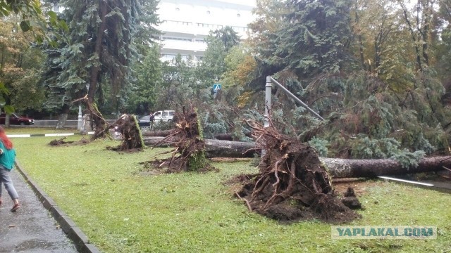 Мощнейший ливень и ураган в Кисловодске