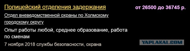 В Госдуму внесли проект об охране школ Росгвардией