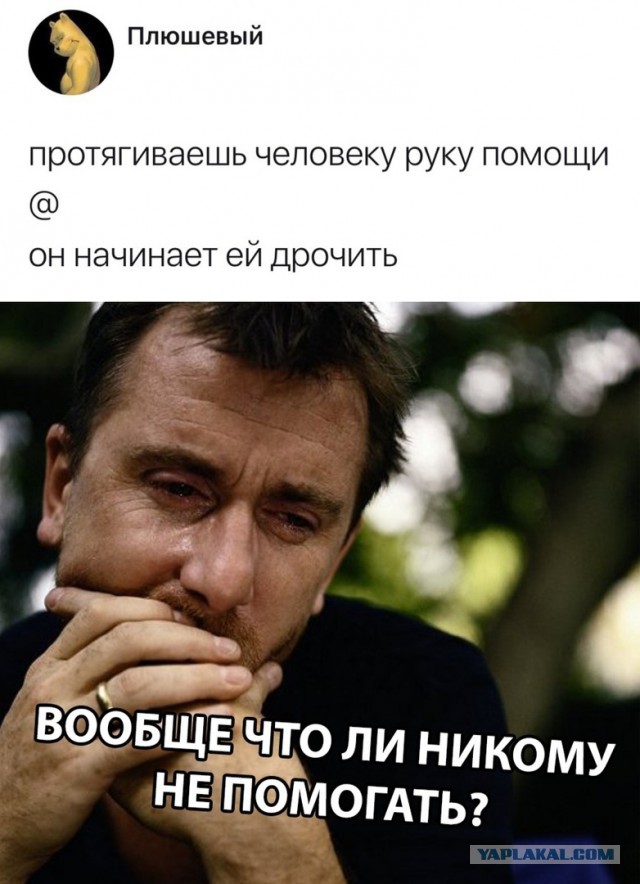 Слегка аморальный и лютый юмор. Только для ценителей
