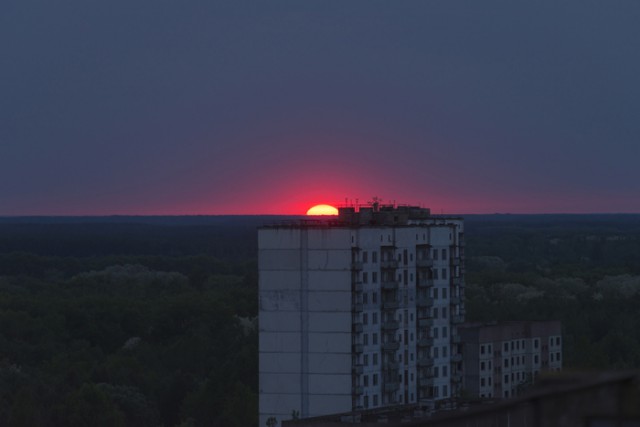 Камеры-ловушки в Чернобыльской зоне показали нечто невероятное