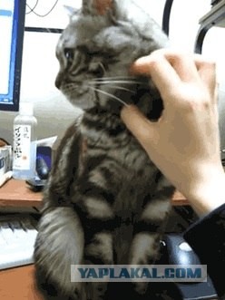 Руки убери, ок?