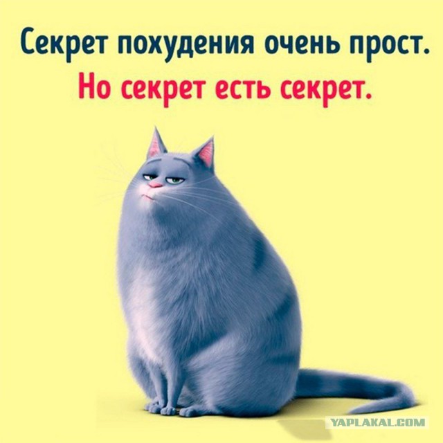 Подборка интересных и веселых картинок 17.03.19