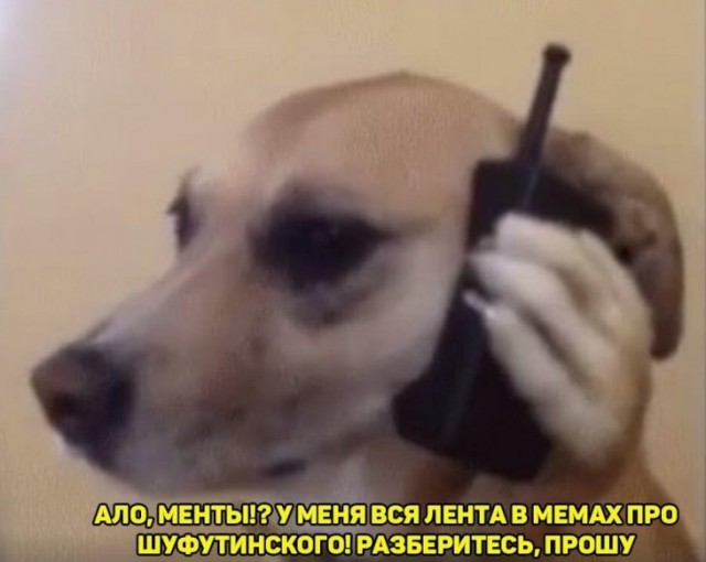 Немного картинок для настроения