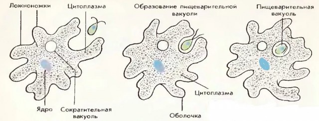 Ученые доказали существование жизни после смерти