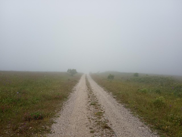 Сам себе фотограф