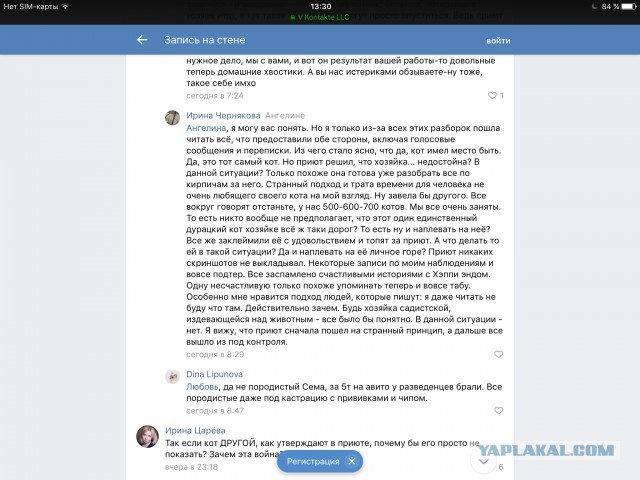 Помогите вернуть кота! Приют "Преданное сердце" украл кота и не отдает!