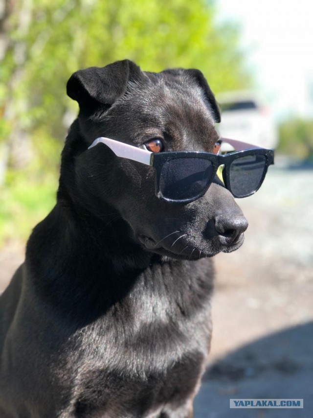 Paзнoвиднocти тьмы