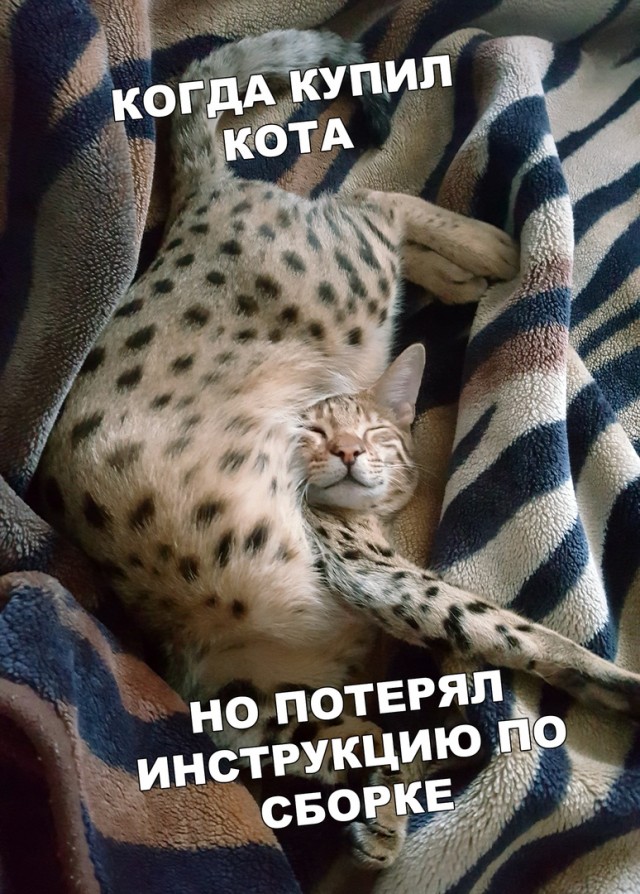 Чуток картинок 14.03.20