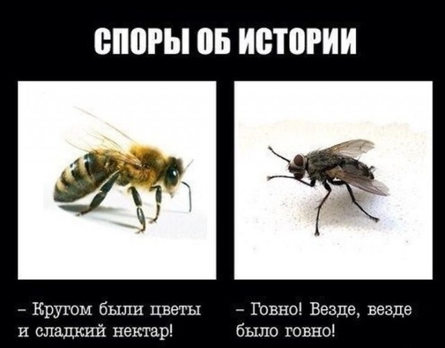 Прикольные и просто красивые картинки 11.04.2020