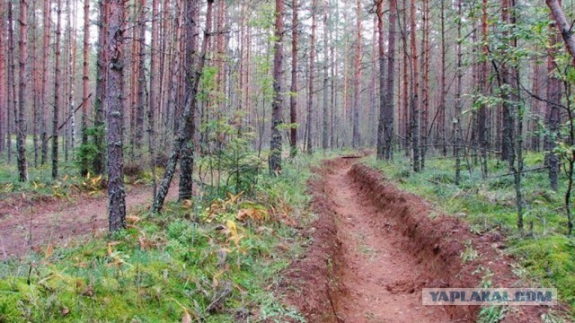 35 забавных и увлекательных фото обо всём, которые помогут вам справиться с осенней хандрой