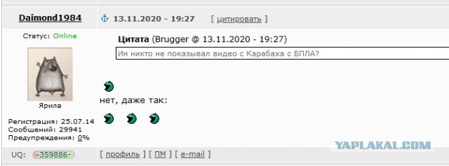 Российские миротворцы в Карабахе прервали полет украинских "ястребов"