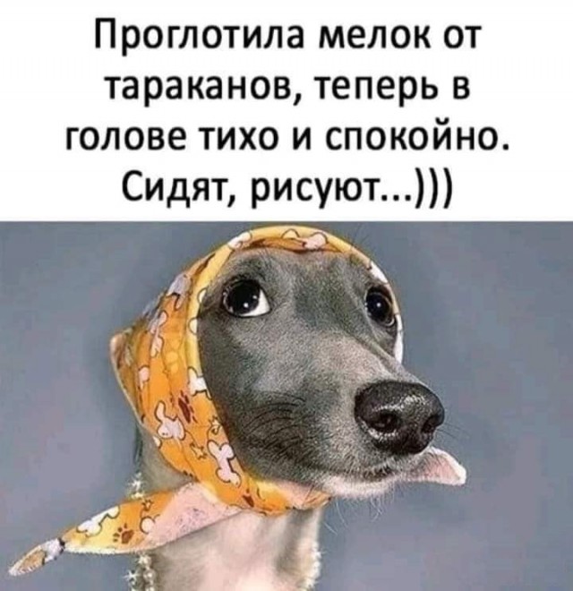 С миру по нитке 23.11