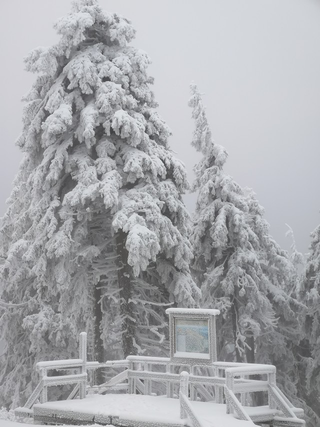 Снежные чудеса, которые редко увидишь