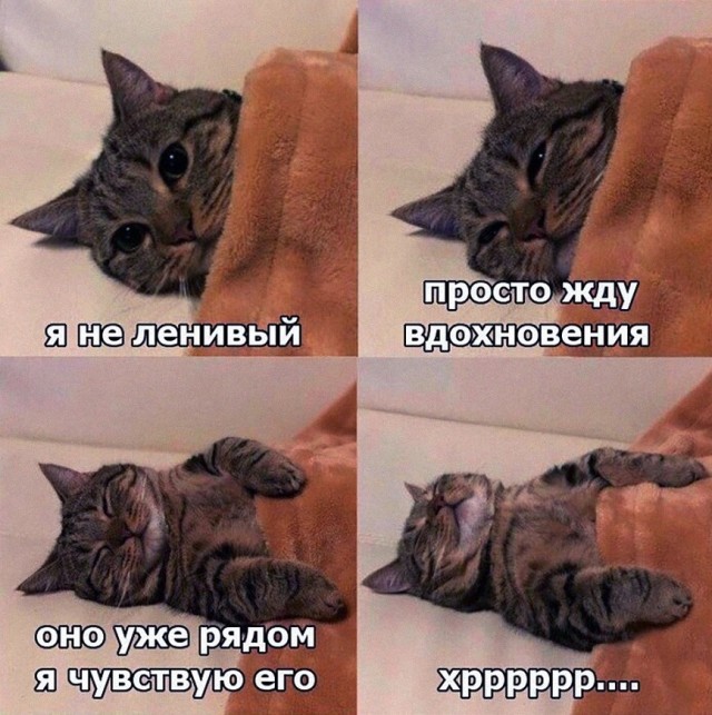 Кретинизмы из сети 03.02.21 Night Edition