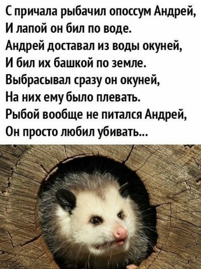 Картинки разные нужны, картинки всякие важны