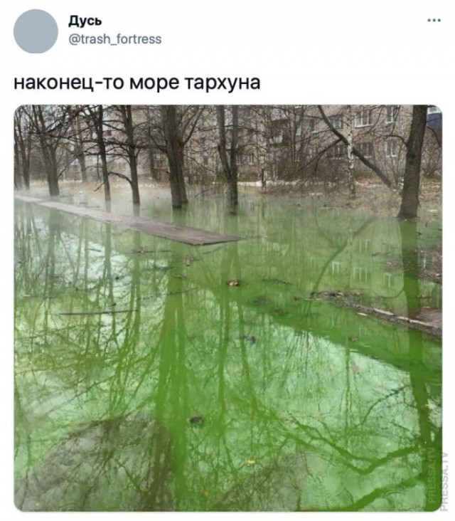 Картинки и мемы для настроения 016