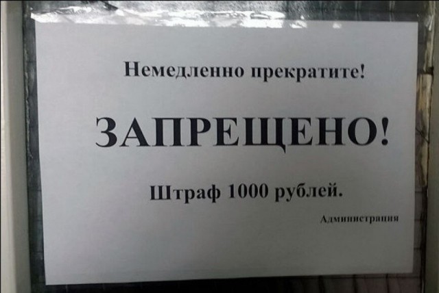 Российских дачников предупредили о штрафах за одуванчик и ромашку