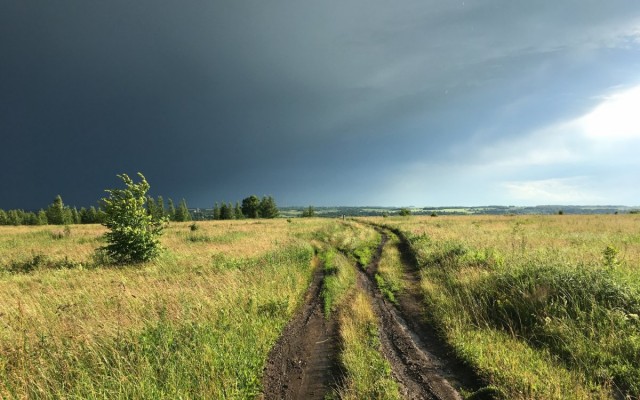 Перед грозой в деревне