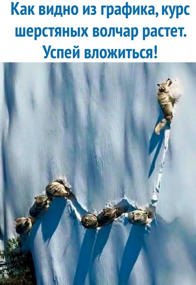 Так себе картинки 11.07.21