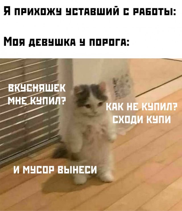 Весёлый полтишок 15.10