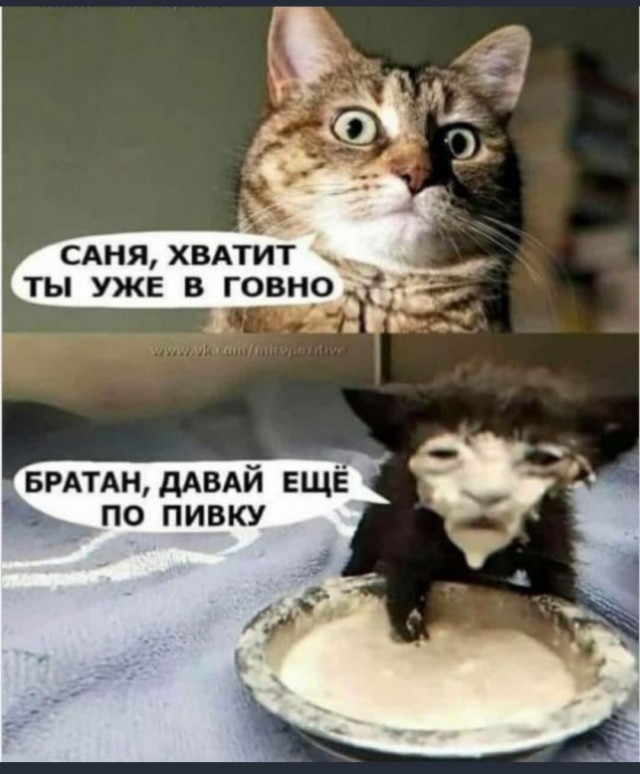 Пандемия. Коронавирус. Россия и мир. Часть 29