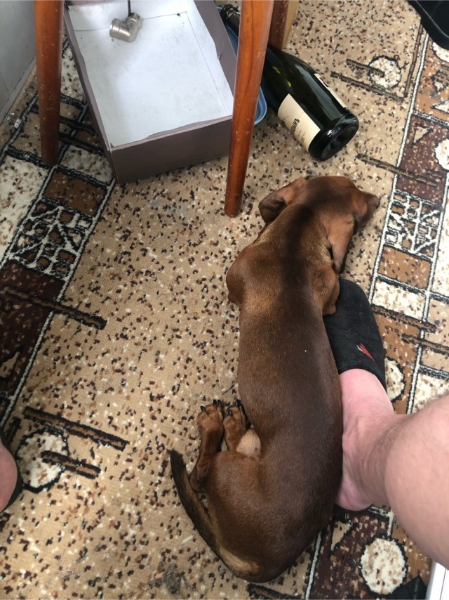 Нос