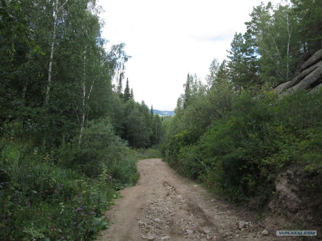 Озеро Моховое, Алтайский край