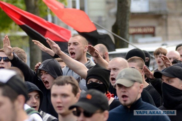 "Вот двор, через который мы ходили. Просто поле боя"