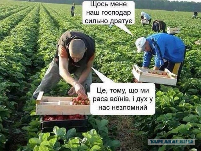 11 минут видеоэкскурсии Херсон 29.04.2022