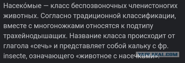 Картинки 20.05.22.