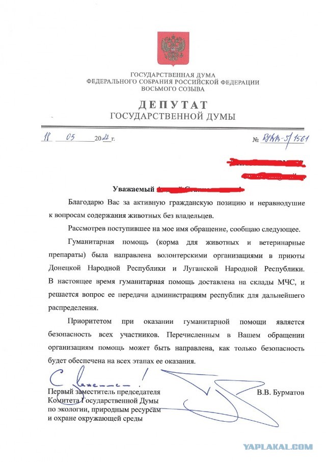 Котики в беде