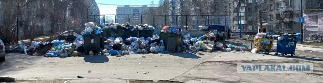 Артемия Лебедева грозят убить за "Новосибирск - жопа".
