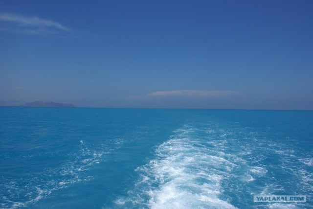 Sea Fishing. Черное море
