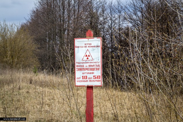 Зона отчуждения. Полесский радиационно-экологический заповедник. д.Погонное (Хойникский р-н, Гомельская обл)