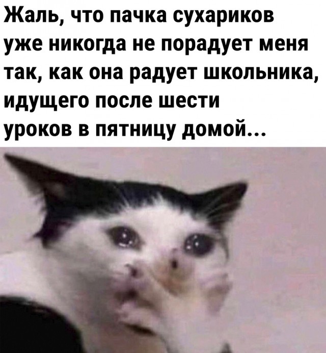 Так себе картинки 09.09.22
