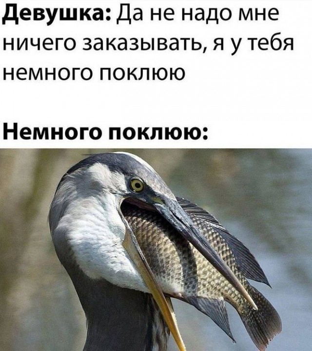 Картинки всякие, развесёлые и не очень.