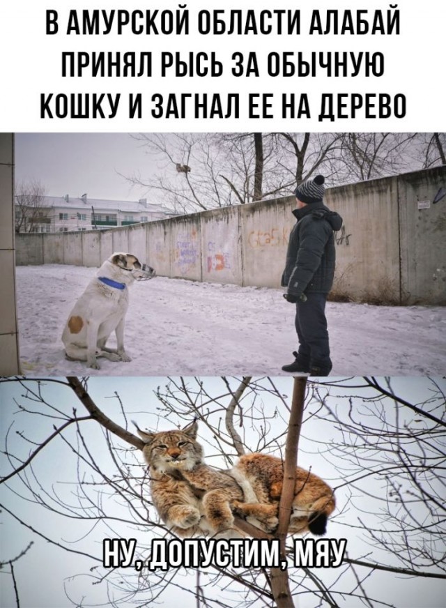 Немного картинок для настроения - 131