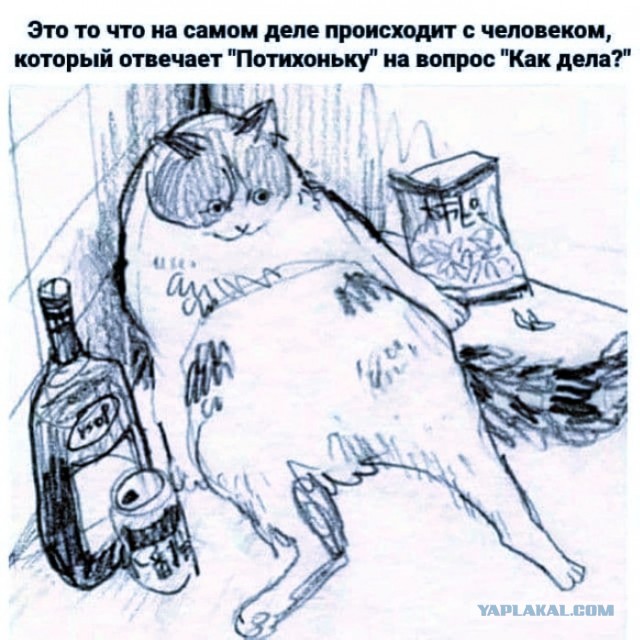Скриншоты и комментарии из социальных сетей 10.12.22
