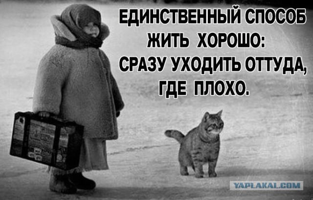 Многие спрашивают зачем огораживать дворы?