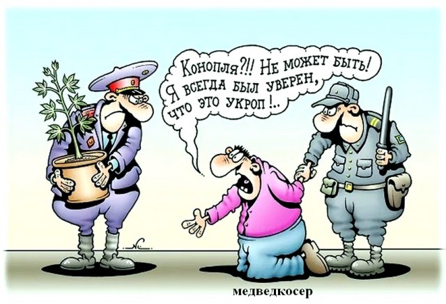 Новый 2023 год от tubdoc62