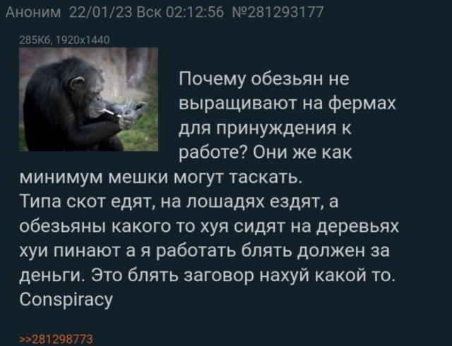 Так себе картинки 07.03.23