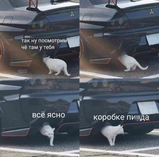 Юмор в картинках и без 14.03