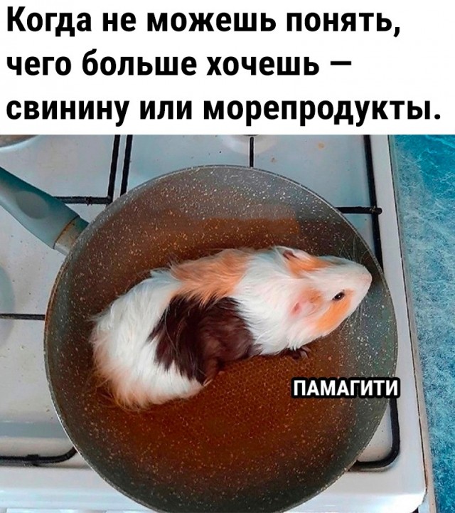 Так себе картинки 13.07.23