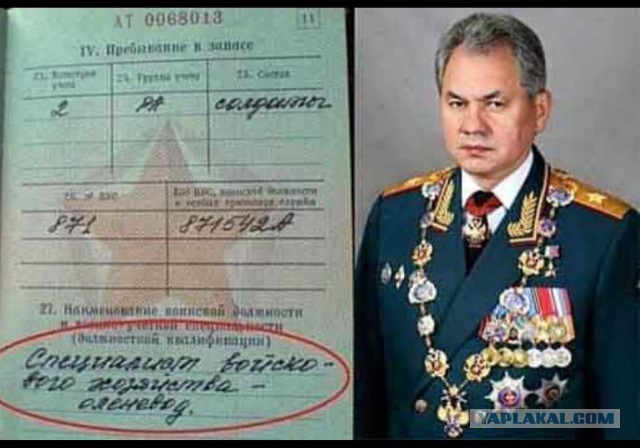 Глава офиса генсека НАТО: Украина может вступить в альянс, уступив территории